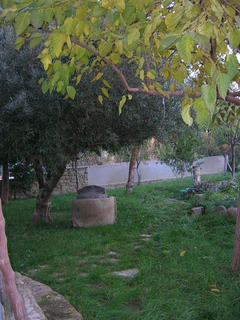 Bed and Breakfast Sa Domu De Sa Contissa Selegas Exterior foto