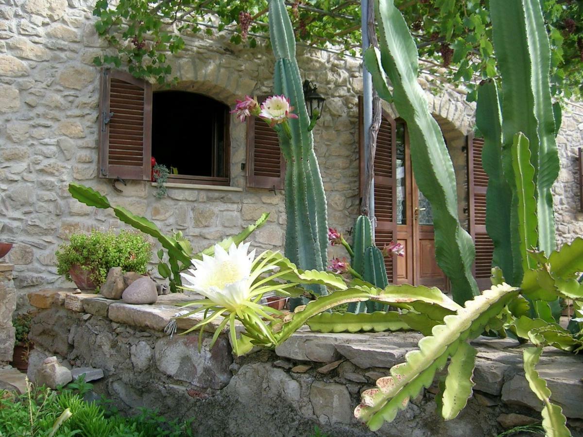 Bed and Breakfast Sa Domu De Sa Contissa Selegas Exterior foto